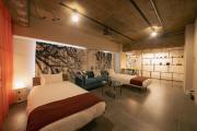 Horie Entire Japanese modern apt by Shinsaibashi