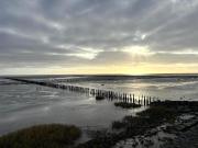 Top Friedrichskoog-Spitz