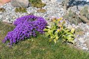 Top Kressbronn am Bodensee