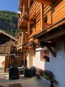 Top Cogne