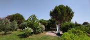 Top Entrechaux