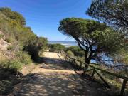 Top Barbate