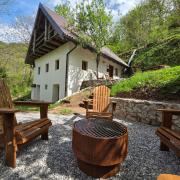 Top Tolmin