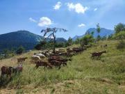 Top Gresse-en-Vercors