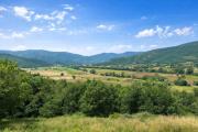 Top Lisciano Niccone