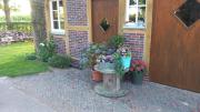 Top Westerstede