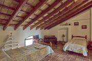 Top Montilla