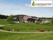 Zuckerbauernhof Unterkunft mit Hund