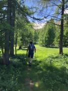 Top La Foux dAllos