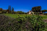 Top Orbetello