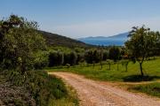 Top Orbetello