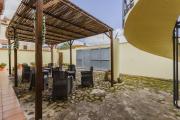 Top Palmas Arborea