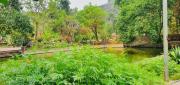 Top Ninh Binh