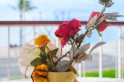 Top Cagnes-sur-Mer