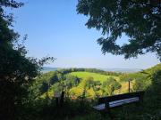 Top Rinteln