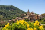 Top Valldemossa