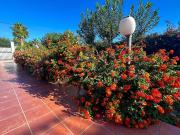 Top Agrigento