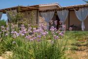 Top Magliano in Toscana