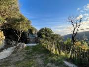 Top Monacia-dʼAullène