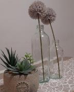 Casa Vacanze Il Bottalone