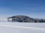 Top Titisee-Neustadt