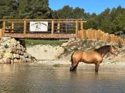 Top Quarante