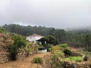 Top Icod de los Vinos