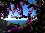 Top Toscolano Maderno