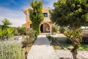 Top Lachania
