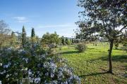 Gelsomina- Agriturismo La Valentina