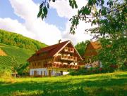 Top Oberkirch