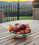 Top Magliano in Toscana