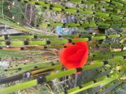 Top Saint-Laurent-sur-Mer