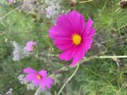 Top Saint-Laurent-sur-Mer