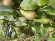 Top Saint-Laurent-sur-Mer