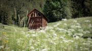 Top Rasun di Sopra