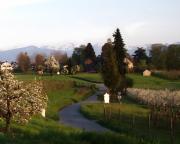 Top Bettnau