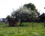 Top Bettnau