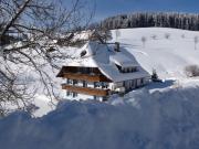 Top Titisee-Neustadt