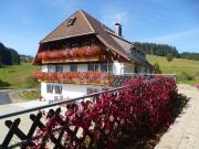 Top Titisee-Neustadt