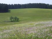 Top Titisee-Neustadt