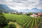 Top Merano