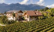 Top Merano
