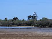 Villa Rosa con accesso sul mare