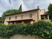 Top Arezzo