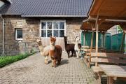 Ferienwohnung auf dem Ennerthof