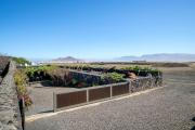 Top Teguise