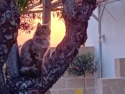 Top Polignano a Mare