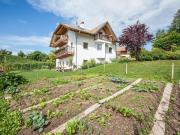 Top San Genesio Atesino