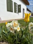 Juliska és Mariska Vendégház